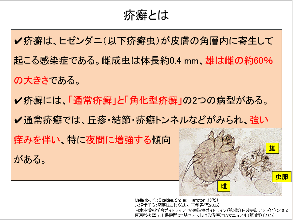 疥癬の講演資料