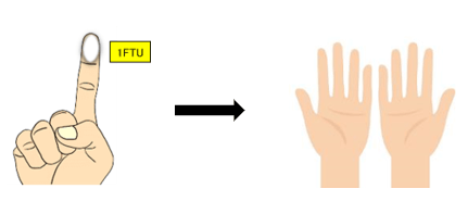 1 Finger-Tip Unit（1FTU）